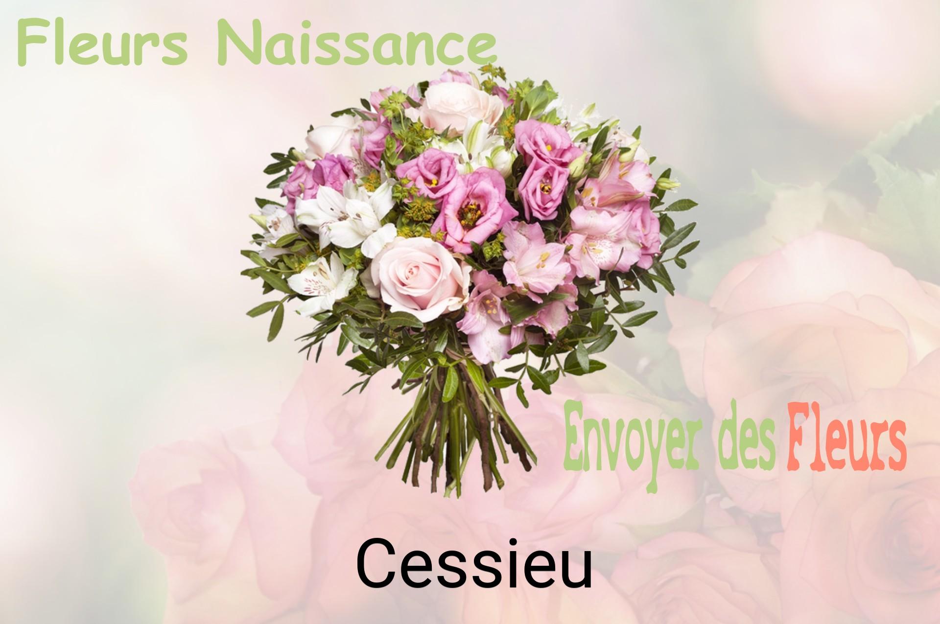 Bouquet de fleurs de naissance livré à Cessieu