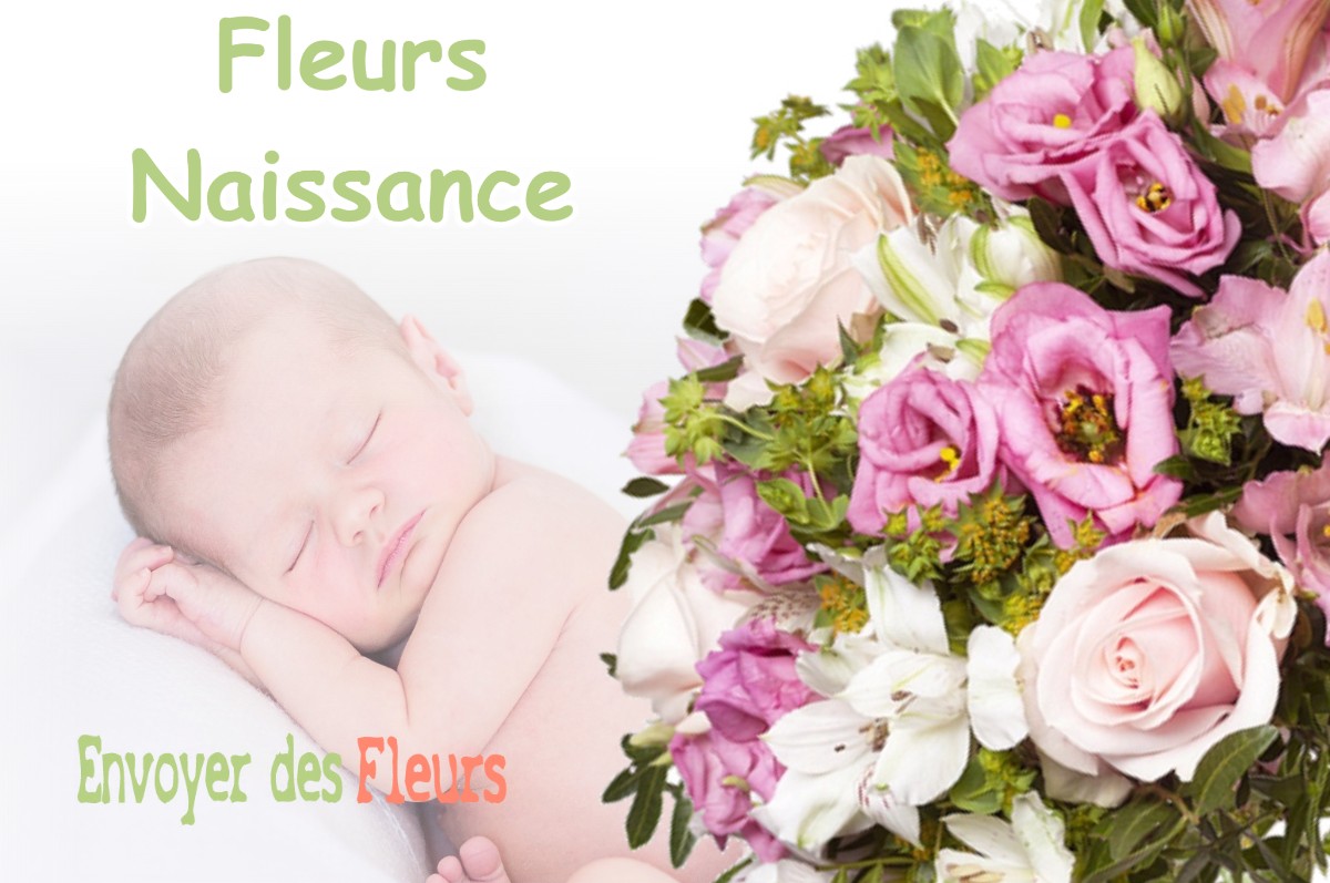 lIVRAISON FLEURS NAISSANCE à CESSIEU